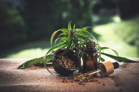 A picture containing plant Description automatically generated
