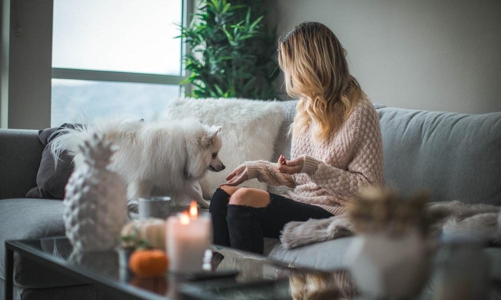 woman sitting on sofa while holding food for dog